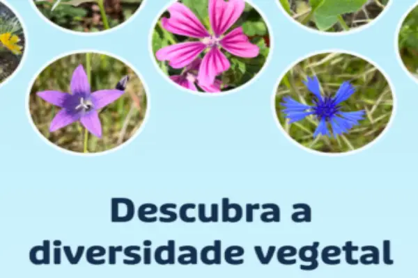 Aplicativo para Identificar Plantas: Conheça os Melhores