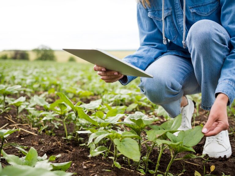 Tecnologia e Inovação no Agronegócio: Soluções Digitais Inovadoras