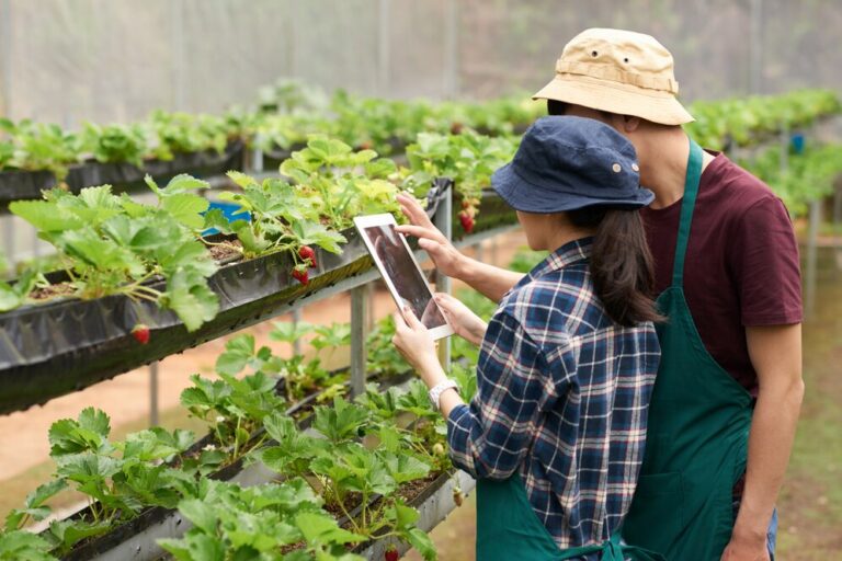 Os 10 Melhores Softwares para Agronegócio: Transformação